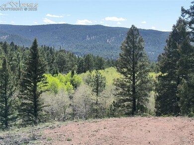 View of the west overlooking an aspen grove across the road.