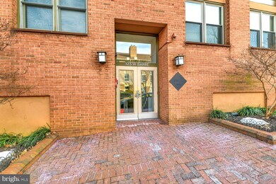 123 W Barre St unit PH2, Baltimore, MD 21201 - photo 4