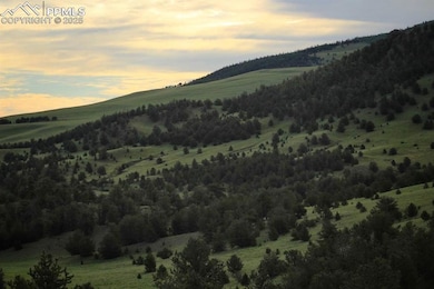 TBD Highway 9, Guffey, CO 80820 - photo 2