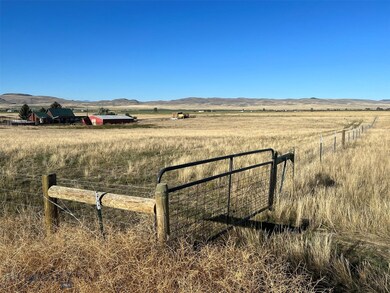 NE Corner of fenced area