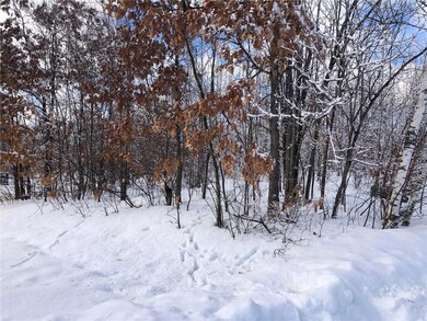 28751 Trout Springs Ct, Danbury, WI 54830 - photo 2