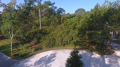 25103 Scarlet Manor Ct, Tomball, TX 77375 - photo 7