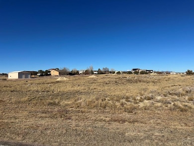 746 W Carrizo Springs Ave, Pueblo West, CO 81007 - photo 4