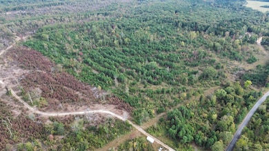 5000 Shady Grove Rd, Shirley, AR 72153 - photo 7