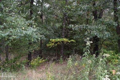 Lot 21 Ridgeview Ct, Joplin, MO 64804 - photo 3