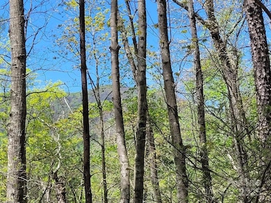 Lot 21 Little Fox Run, North Cove, NC 28752 - photo 6