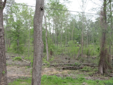 View of landscape