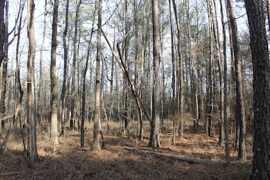 0 River Bend Rd, Columbia, MS 39429 - photo 7