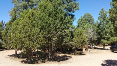 Side Yard