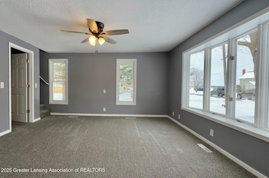 129 E Fulton St, Pompeii, MI 48874 - photo 4