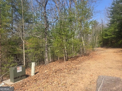 8 & 9 Up the Ridge Rd, Blairsville, GA 30512 - photo 5