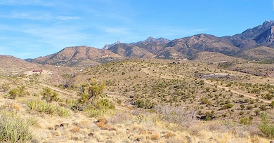 0 Lazy Y U Dr, Kingman, AZ 86401 - photo 6