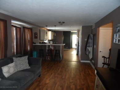 335 E Fargo St, Ionia, MI 48846 - photo 6