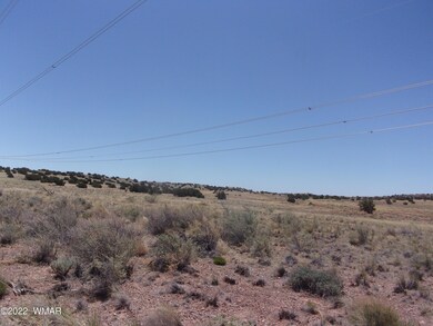Vacant land May 036