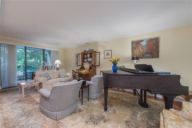 Spacious living room