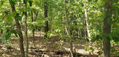 0 Kevin Ln unit 1174657, Bella Vista, AR 72715 - photo 6