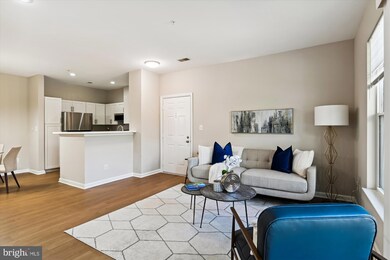 3517 Piney Woods Place unit E201, Laurel, MD 20724 - photo 4