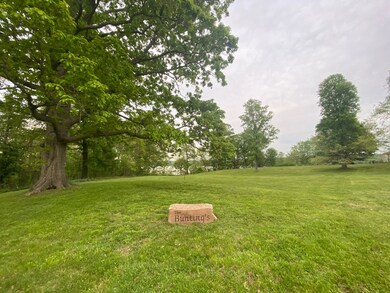 602 S Raum Park Dr, Golconda, IL 62938 - photo 7