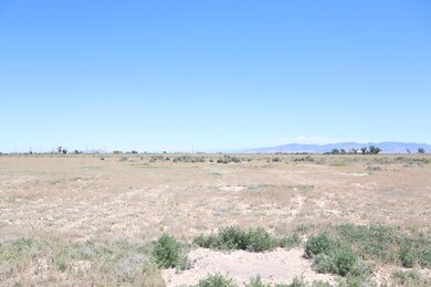IMG_1341