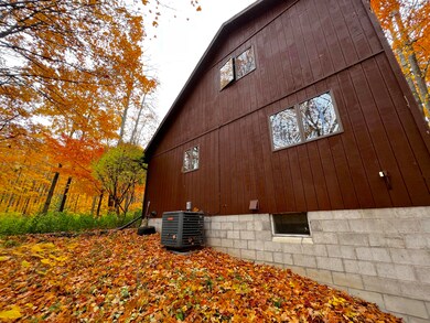 11428 Wilderness Trail, Vanderbilt, MI 49795 - photo 6