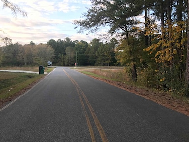 00 Crenshaw Rd, Cowpens, SC 29330 - photo 4