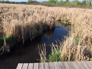 Turtle Creek