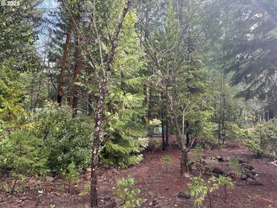521 Lone Mountain Rd, O'Brien, OR 97534 - photo 3