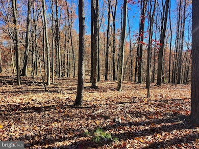 176 Rendezvous Rd, Delray, WV 26801 - photo 3