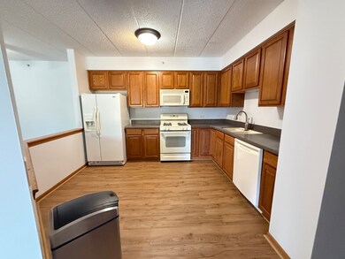 201 W Brush Hill Rd unit 103, Elmhurst, IL 60126 - photo 4