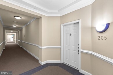 2120 Troon Overlook unit UTJ205, Woodstock, MD 21163 - photo 4