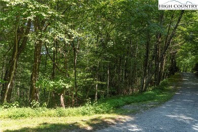 1 Wyeth Dr, Blowing Rock, NC 28605 - photo 3