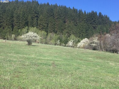 35901 Valley View Ln, Halfway, OR 97834 - photo 4