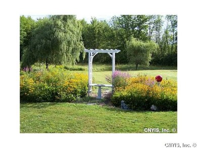 Yard.