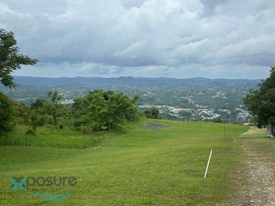 091025 Sr 119 Km 28 7 Int Bo Hoyamala Sector Lechuza, San Sebastián, PR 00685 - photo 7
