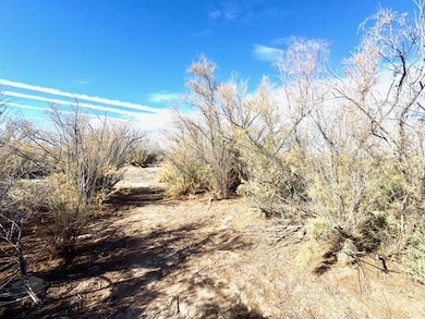 2811 Harold Place, Mohave Valley, AZ 86440 - photo 5
