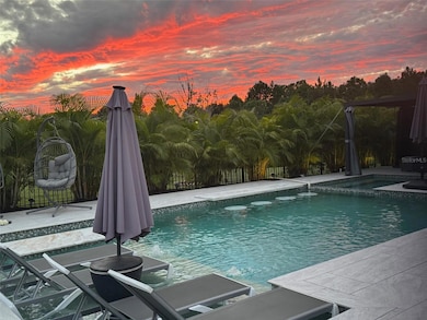 3965 Aldea Way, Wesley Chapel, FL 33543 - photo 3