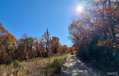 View of street featuring a forest view