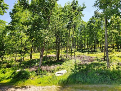 3410 Us Route 4 unit Lot 1, Mendon, VT 05701 - photo 2