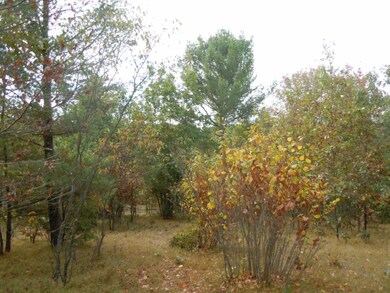 DSCN1037