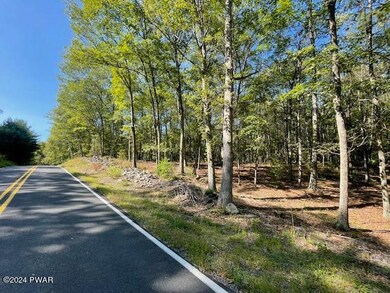 Lot 36 Mt Shadow Ln & Roosie Rd, Bushkill, PA 18324 - photo 3
