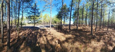 Look at this beautiful walkable lot.