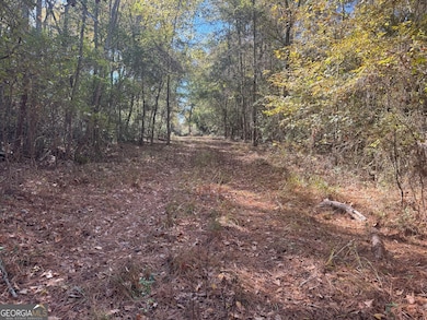 0 Perimeter Rd unit 10118660, Monticello, GA 31064 - photo 4