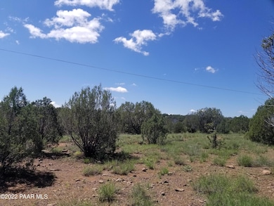 1550 W Joseph Dr, Ash Fork, AZ 86320 - photo 4