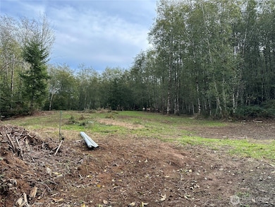 295 Oak Point Rd, Longview, WA 98632 - photo 4