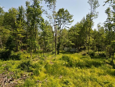 DJI_0908