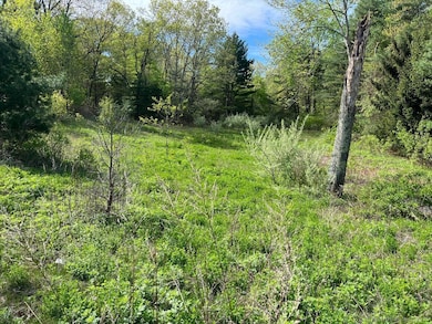 248 Merrow Rd, Tolland, CT 06084 - photo 3