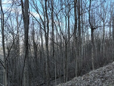 279 Andes Ridge, Ellijay, GA 30536 - photo 7