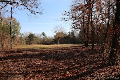 0 Poteau Mountain Rd, Monroe, OK 74947 - photo 3