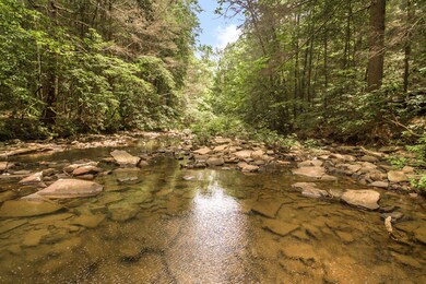 6620_Gray_Fryar_Rd_100