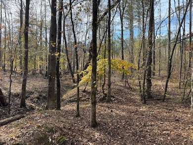 Middelton Rd, Elberton, GA 30635 - photo 6